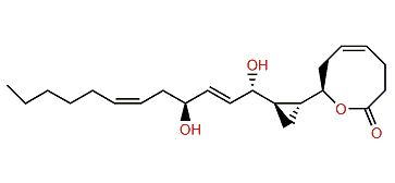 Solandelactone E